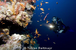 Christine and lionfish, outside Blue Hole, Dahab. Canon E... by Tobias Reitmayr 